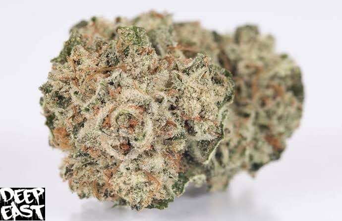 Gorilla Glue Strain - Image 2