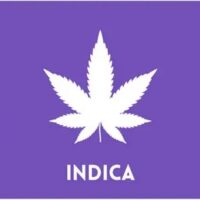 Indica
