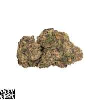 Jelly Roll strain