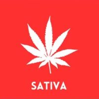 Sativa