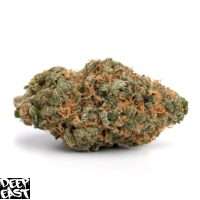 Super Lemon Haze strain