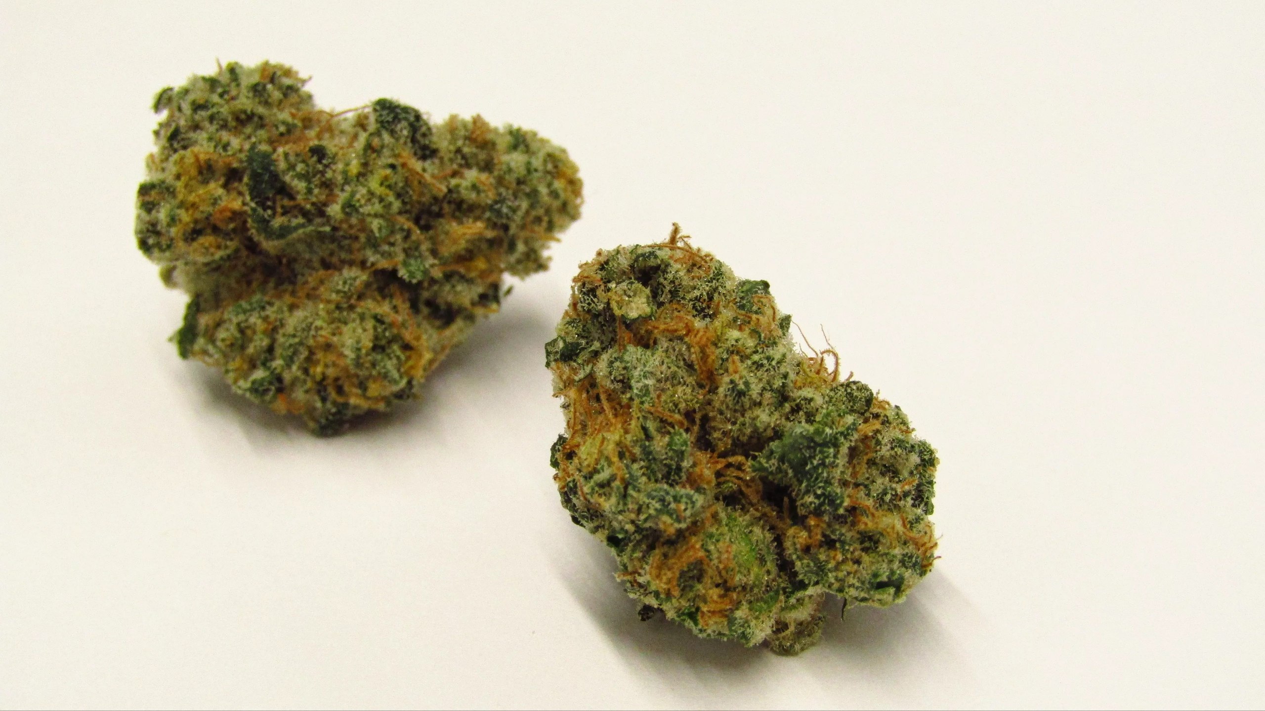 Super Lemon Haze Strain - Image 2