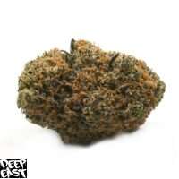 Tropical Zoap strain