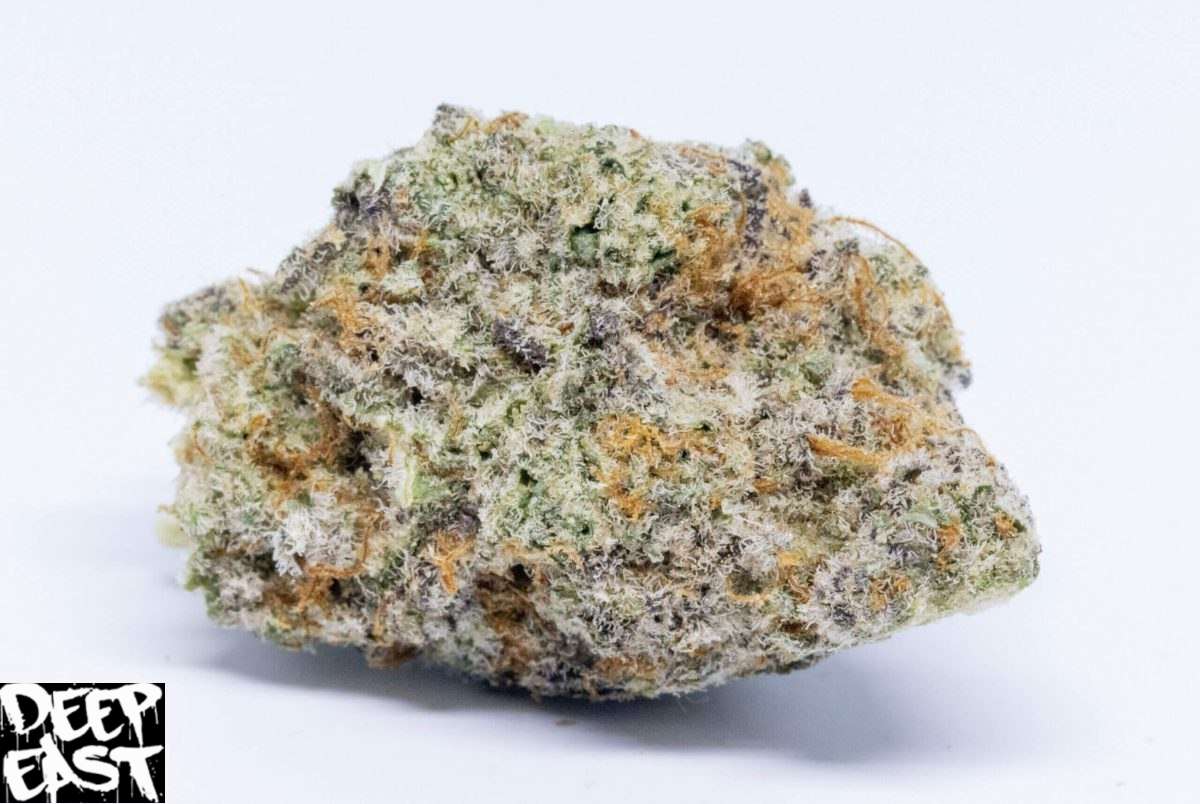 YS 11 Strain - Image 3