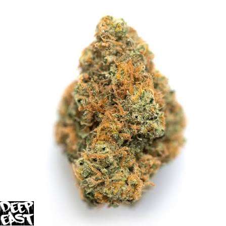 Zero Gravity Strain - Image 2